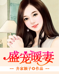 《盛宠暖妻》 作者：齐家颖子 txt文件大小：3.24 MB