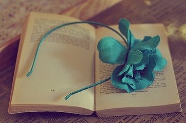 《墨染流年迟不归》 作者：莫百里 txt文件大小：403.54 KB