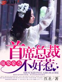 《强娶豪夺：首席总裁不好惹》 作者：苡北 txt文件大小：1022.18 KB