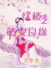 《（红楼同人）红楼之晴雯良缘》 作者：花繁宸 txt文件大小：365.05 KB