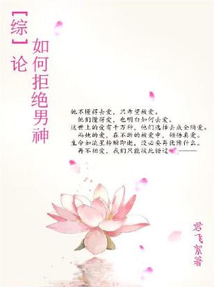 《（综影视同人）[综]论如何拒绝男神》 作者：君飞絮 txt文件大小：558.31 KB