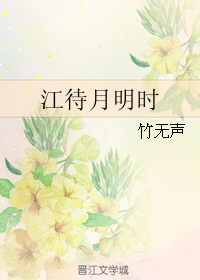 《江待月明时》 作者：竹无声 txt文件大小：178.79 KB