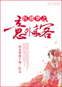 《（红楼梦同人）红楼梦之意外来客》 作者：一剑光寒卅十州 txt文件大小：573.91 KB