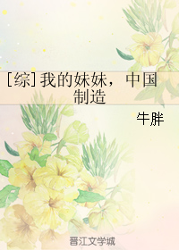 《（综影视同人）[综]我的妹妹，中国制造》 作者：牛胖 txt文件大小：490.04 KB