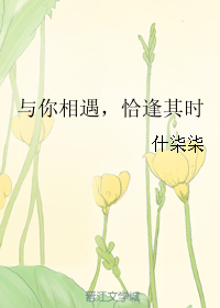 《与你相遇，顷其时》 作者：什柒柒 txt文件大小：329.06 KB