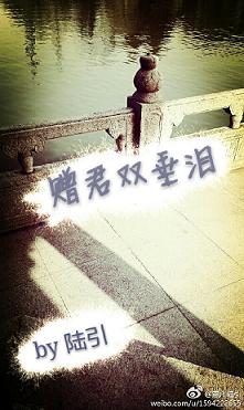 《赠君双垂泪》 作者：陆引 txt文件大小：304.97 KB