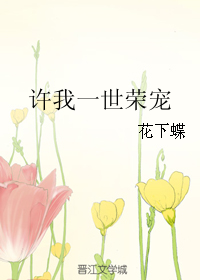 《许我一世荣宠》 作者：花下蝶 txt文件大小：258.2 KB