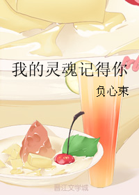 《我的灵魂记得你》 作者:负心束 txt文件大小:689.47 KB