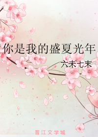 《你是我的盛夏光年》 作者：六未七末 txt文件大小：252.23 KB