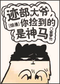 《（综漫同人）[综漫]迹部大爷，你捡到的是神马》 作者：山楂锅盔 txt文件大小：479.85 KB