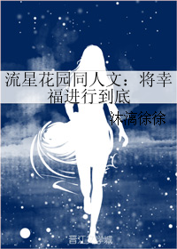 《（流星花园同人）流星花园同人文：将幸福进行到底》 作者：沐漓徐徐 txt文件大小：112.08 KB