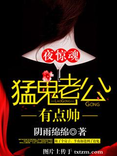 《夜惊魂，猛鬼老公有点帅》 作者：阴雨绵绵 txt文件大小：2.47 MB