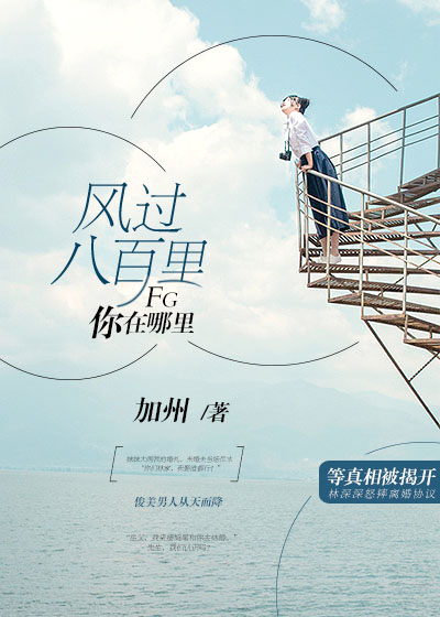 《风过八百里，你在哪里》 作者：加州 txt文件大小：826.43 KB