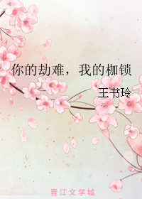《你的劫难，我的枷锁》 作者：王书玲 txt文件大小：213.49 KB