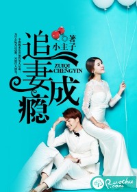《追妻成瘾》 作者：小主子 txt文件大小：1.01 MB