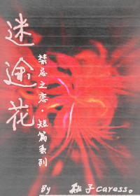 《（火影同人）迷途花》 作者：黏子Caress txt文件大小：32.81 KB