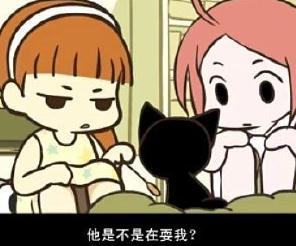 《(综同人)(综)妹控养成中》 作者:任方圆 txt文件大小:171.93 KB