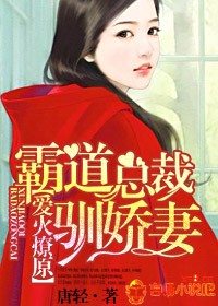 《爱火燎原,霸道总裁驯娇妻》 作者:唐轻 txt文件大小:1.19 MB