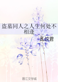 《（盗墓笔记同人）盗墓同人之人生何处不相逢》 作者：乱谈君 txt文件大小：1.45 MB