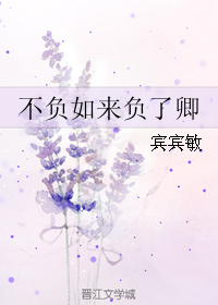 《不负如来负了卿》 作者：宾宾敏 txt文件大小：24.5 KB