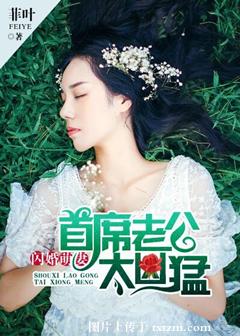 《闪婚萌妻：首席老公太凶猛》 作者：菲叶 txt文件大小：1.1 MB