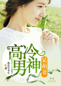 《高冷男神呆萌妻-先生，你上头条啦》 作者：我是小书生 txt文件大小：1010.64 KB