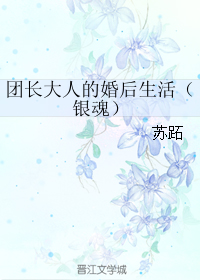 《（银魂同人）团长大人的婚后生活》 作者：苏跖 txt文件大小：141.1 KB