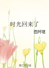 《时光回来了》 作者：图阿珺 txt文件大小：153.96 KB