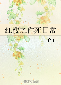 《（红楼同人）红楼之作死日常》 作者：条竿 txt文件大小：340.88 KB