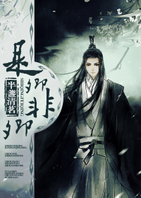 《是卿非卿》 作者：半盏清茗 txt文件大小：741.15 KB