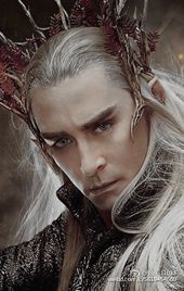 《（综同人）[霍比特人+指环王]大王求放过》 作者：近无九 txt文件大小：577.03 KB