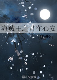 《（海贼王同人）海贼王之君在心安》 作者：颜伊汋 txt文件大小：307.8 KB