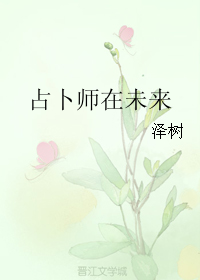 《占卜师在未来》 作者:泽树 txt文件大小:456.6 KB