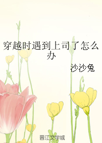 《穿越时遇到上司了怎么办》 作者：沙沙兔 txt文件大小：141.66 KB