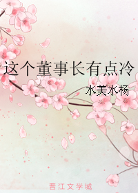 《这个董事长有点冷》 作者：水美水杨 txt文件大小：639.04 KB