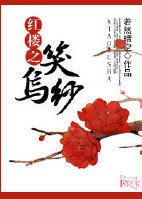 《（红楼梦同人）红楼之笑乌纱》 作者：若然晴空 txt文件大小：587.28 KB