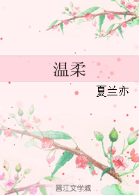 《（网王同人）温柔》 作者：夏兰亦 txt文件大小：71.52 KB
