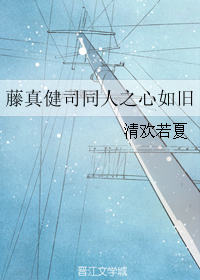 《（综漫同人）藤真健司同人之心如旧》 作者：清欢若夏 txt文件大小：804.11 KB