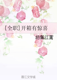 《（全职高手同人）[全职]开箱有惊喜》 作者：纫佩江蓠 txt文件大小：722.36 KB