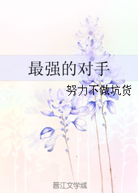 《（全职同人）最强的对手》 作者：努力不做坑货 txt文件大小：96.36 KB