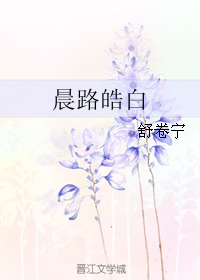 《晨路皓白》 作者：舒卷宁 txt文件大小：160.84 KB