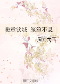 《暖意钦城 笙笙不息》 作者：周九女王 txt文件大小：679.77 KB