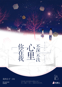 《你在我心里，不深不浅》 作者：花间公子 txt文件大小：1.54 MB