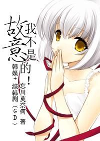 《（韩娱同人）[韩娱+综韩剧]（GD）我不是故意的！》 作者：忘川莫奈何 txt文件大小：393.71 KB