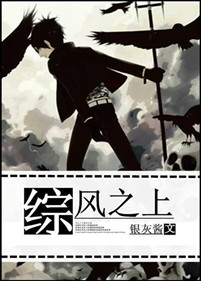 《（综漫同人）[综]风之上-凪静悠然》 作者：银灰酱 txt文件大小：840.11 KB