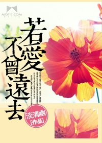 《若爱不曾远去》 作者：淡清幽 txt文件大小：848.98 KB