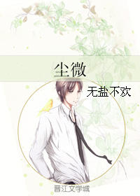 《尘微》 作者：无盐不欢 txt文件大小：893.7 KB