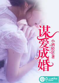《谋爱成婚》 作者： txt文件大小：2.65 MB