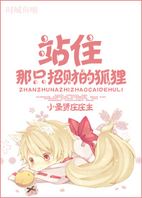 《站住，那只招财的狐狸》 作者：小圣贤庄庄主 txt文件大小：406.15 KB