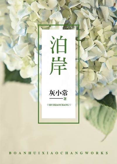 《泊岸》 作者：灰小常 txt文件大小：223.2 KB